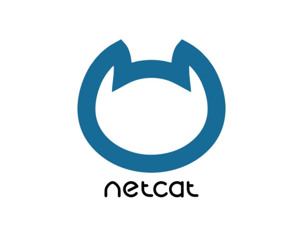 Продвижение сайта на NetCat
