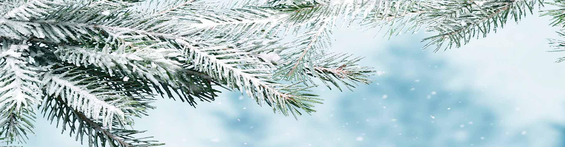 Невероятные зимние скидки до -70%